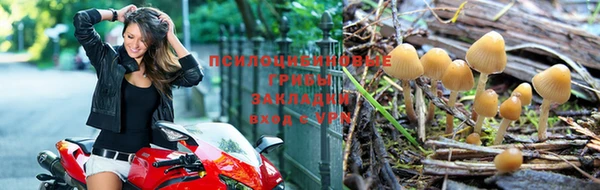 кокаин Ельня